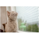 rede janela gato valor Pedra Branca