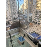 redes de janela para gatos Penha